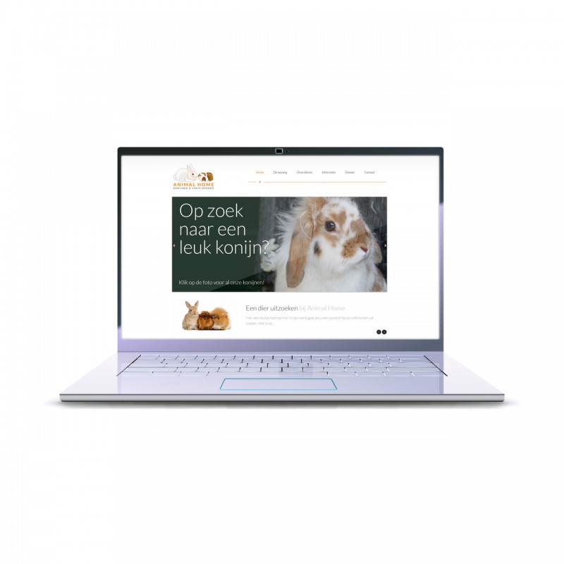 Animal Home website Animal Home website © i-nicole