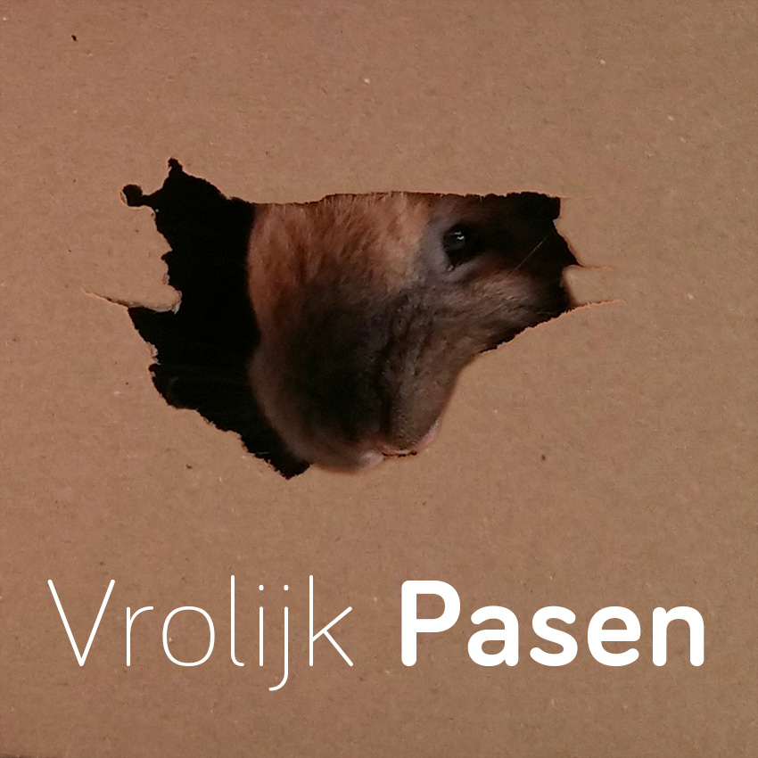 Vrolijk Pasen